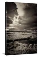 Blakeney Marshes on the Norfolk Coastline-Tim Kahane-Stretched Canvas