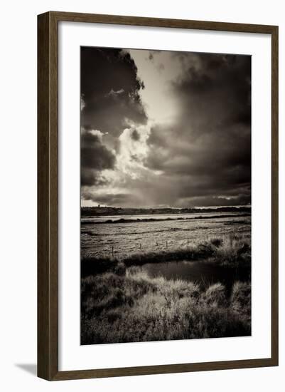 Blakeney Marshes on the Norfolk Coastline-Tim Kahane-Framed Photographic Print