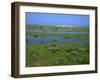 Blakeney Point, Norfolk, England, United Kingdom, Europe-Jean Brooks-Framed Photographic Print