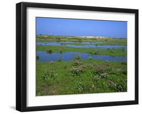 Blakeney Point, Norfolk, England, United Kingdom, Europe-Jean Brooks-Framed Photographic Print