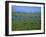 Blakeney Point, Norfolk, England, United Kingdom, Europe-Jean Brooks-Framed Photographic Print