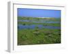 Blakeney Point, Norfolk, England, United Kingdom, Europe-Jean Brooks-Framed Photographic Print