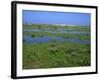 Blakeney Point, Norfolk, England, United Kingdom, Europe-Jean Brooks-Framed Photographic Print