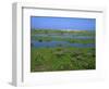 Blakeney Point, Norfolk, England, United Kingdom, Europe-Jean Brooks-Framed Photographic Print