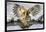 Blakiston's fish owl, Hokkaido, Japan-Art Wolfe Wolfe-Framed Photographic Print