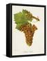 Blanc Auba Grape-J. Troncy-Framed Stretched Canvas