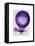 Blanchards Hydrogen (Purple) Hot Air Balloon-Fab Funky-Framed Stretched Canvas