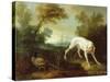Blanche, Bitch of the Royal Hunting Pack-Jean-Baptiste Oudry-Stretched Canvas