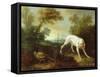 Blanche, Bitch of the Royal Hunting Pack-Jean-Baptiste Oudry-Framed Stretched Canvas