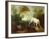 Blanche, Bitch of the Royal Hunting Pack-Jean-Baptiste Oudry-Framed Giclee Print