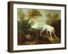 Blanche, Bitch of the Royal Hunting Pack-Jean-Baptiste Oudry-Framed Giclee Print