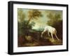 Blanche, Bitch of the Royal Hunting Pack-Jean-Baptiste Oudry-Framed Giclee Print