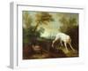 Blanche, Bitch of the Royal Hunting Pack-Jean-Baptiste Oudry-Framed Giclee Print