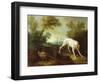 Blanche, Bitch of the Royal Hunting Pack-Jean-Baptiste Oudry-Framed Giclee Print