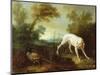 Blanche, Bitch of the Royal Hunting Pack-Jean-Baptiste Oudry-Mounted Giclee Print