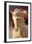 Blanco-Carolyne Hawley-Framed Art Print