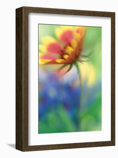 Blanket Blur-Karin Connolly-Framed Art Print