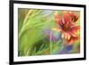 Blanket of Color-Karin Connolly-Framed Art Print