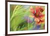 Blanket of Color-Karin Connolly-Framed Art Print