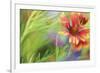 Blanket of Color-Karin Connolly-Framed Art Print