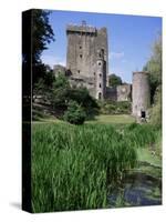 Blarney Castle, County Cork, Munster, Eire (Republic of Ireland)-J Lightfoot-Stretched Canvas