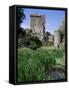 Blarney Castle, County Cork, Munster, Eire (Republic of Ireland)-J Lightfoot-Framed Stretched Canvas