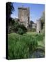 Blarney Castle, County Cork, Munster, Eire (Republic of Ireland)-J Lightfoot-Stretched Canvas