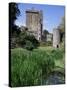 Blarney Castle, County Cork, Munster, Eire (Republic of Ireland)-J Lightfoot-Stretched Canvas