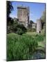 Blarney Castle, County Cork, Munster, Eire (Republic of Ireland)-J Lightfoot-Mounted Photographic Print