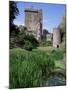 Blarney Castle, County Cork, Munster, Eire (Republic of Ireland)-J Lightfoot-Mounted Photographic Print