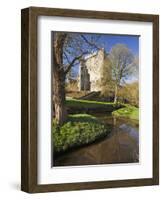 Blarney Castle in Springtime, County Cork, Munster, Republic of Ireland, Europe-null-Framed Photographic Print