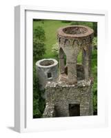 Blarney Castle, Ireland-Cindy Miller Hopkins-Framed Photographic Print