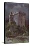 Blarney Castle-null-Stretched Canvas