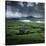Blasket Sound to Blasket Islands and Slea Head, Dingle Peninsula, Munster, Republic of Ireland-Stuart Black-Stretched Canvas