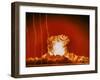 Blast from "Annie"-null-Framed Giclee Print