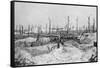 Blasted Tree Stumps, Mesnil, Champagne, France, World War I, 1915-null-Framed Stretched Canvas