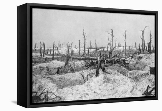 Blasted Tree Stumps, Mesnil, Champagne, France, World War I, 1915-null-Framed Stretched Canvas