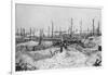 Blasted Tree Stumps, Mesnil, Champagne, France, World War I, 1915-null-Framed Giclee Print