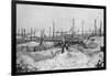 Blasted Tree Stumps, Mesnil, Champagne, France, World War I, 1915-null-Framed Giclee Print