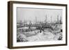 Blasted Tree Stumps, Mesnil, Champagne, France, World War I, 1915-null-Framed Giclee Print