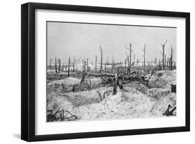 Blasted Tree Stumps, Mesnil, Champagne, France, World War I, 1915-null-Framed Giclee Print