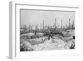 Blasted Tree Stumps, Mesnil, Champagne, France, World War I, 1915-null-Framed Giclee Print