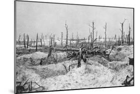 Blasted Tree Stumps, Mesnil, Champagne, France, World War I, 1915-null-Mounted Giclee Print