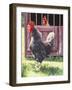 Blatant Provocation, 2004-Sandra Lawrence-Framed Giclee Print