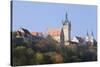 Blauer Turm Tower and St. Peter Collegiate Church, Bad Wimpfen, Neckartal Valley-Marcus Lange-Stretched Canvas