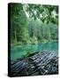 Blausee, Kandersteg, Berner Oberland, Switzerland-Jon Arnold-Stretched Canvas