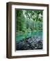 Blausee, Kandersteg, Berner Oberland, Switzerland-Jon Arnold-Framed Photographic Print