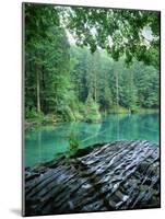 Blausee, Kandersteg, Berner Oberland, Switzerland-Jon Arnold-Mounted Photographic Print