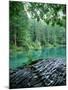 Blausee, Kandersteg, Berner Oberland, Switzerland-Jon Arnold-Mounted Photographic Print