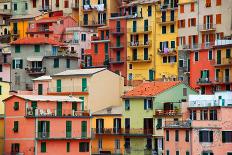 Colourful Texture Of Manarola City Of Cinque Terre - Italy-Blaz Kure-Mounted Art Print